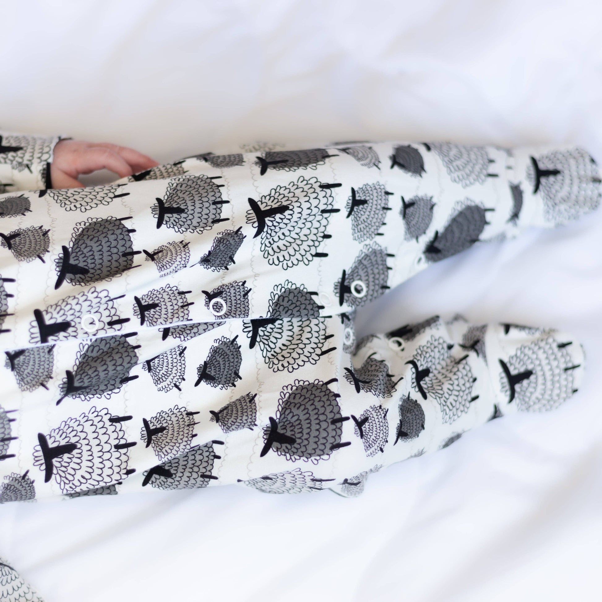 Sleepsuit close look up with sheep pattern on a white background