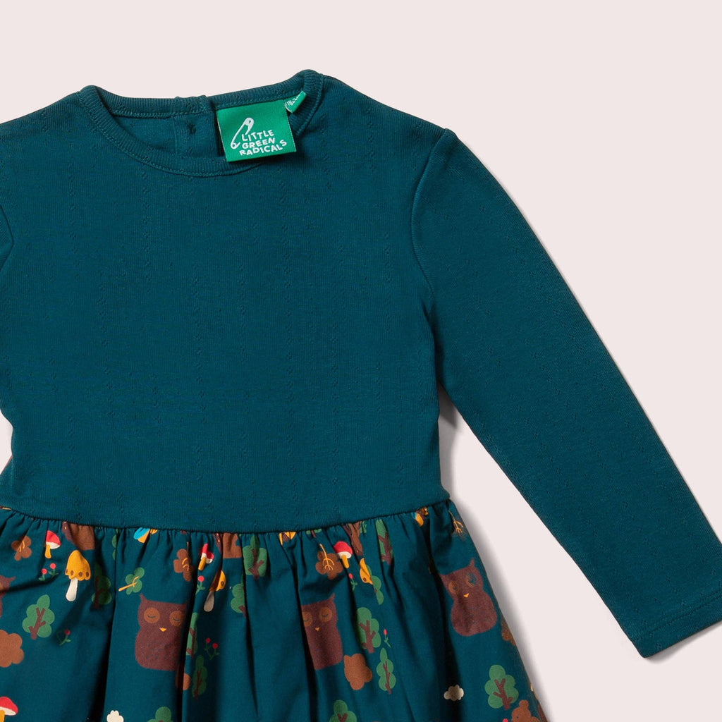 Teal dress with a patterned skirt and 'Little Green Radicals' tag on a white background