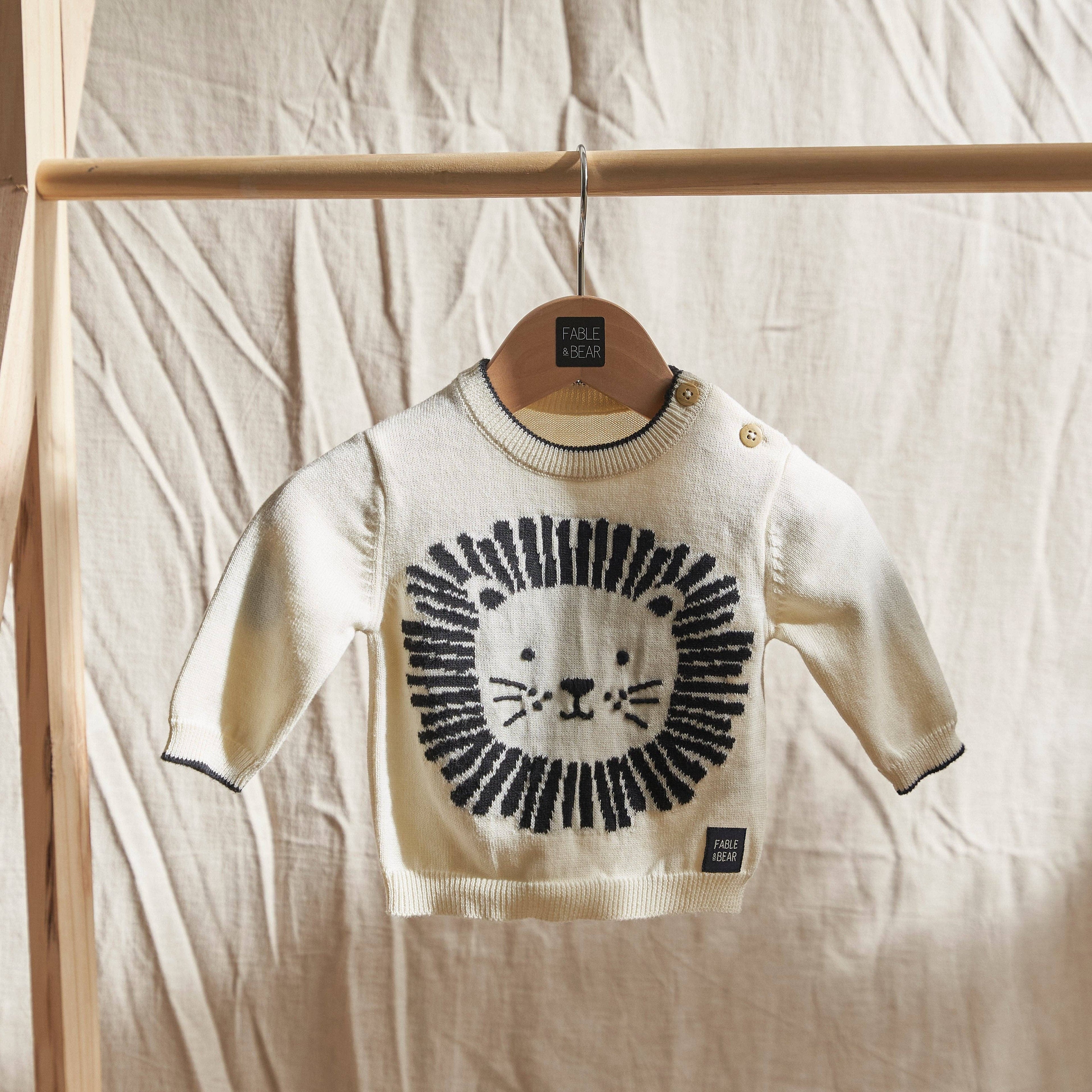 Children's jumper/sweater with lion design on a hanger against a neutral background