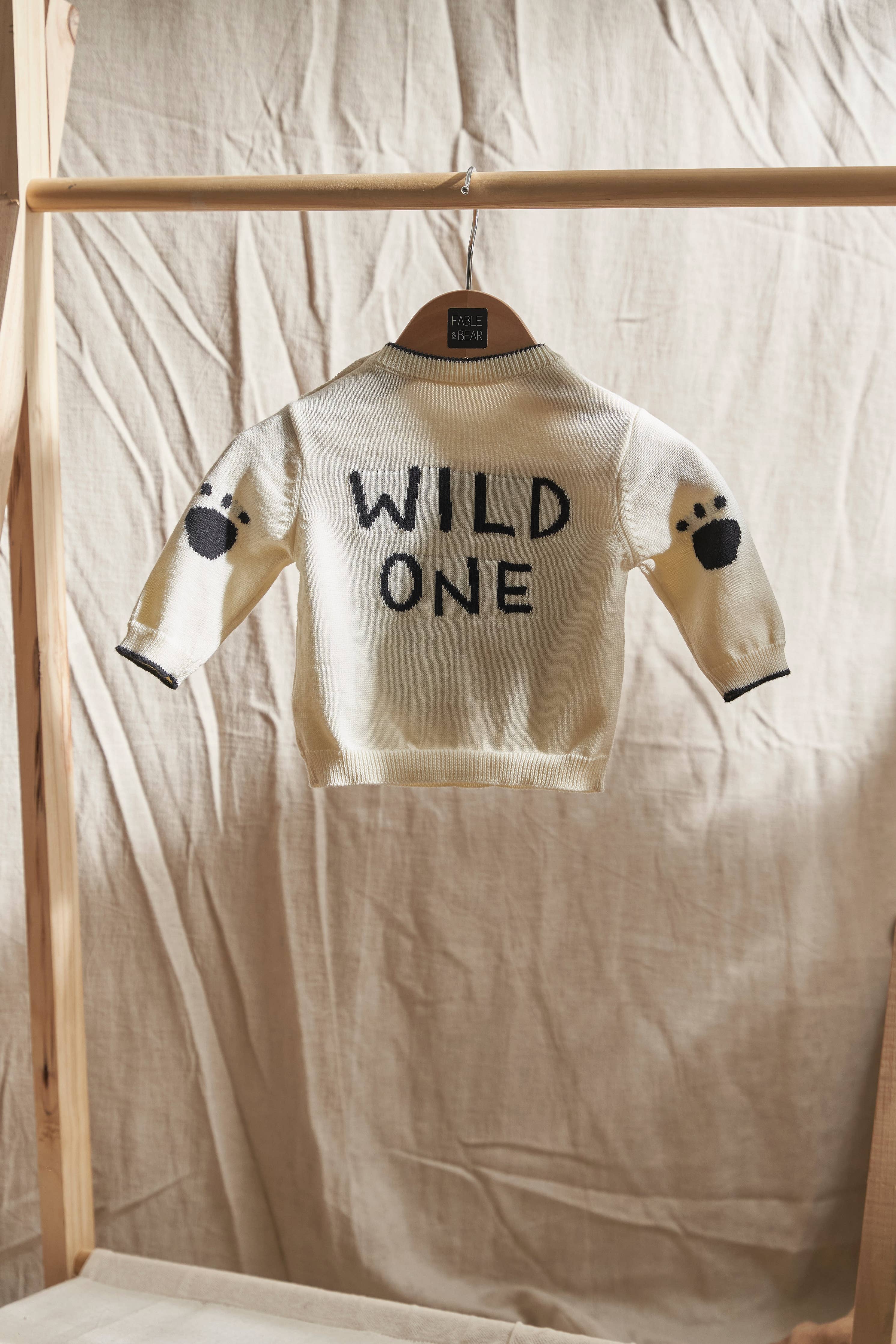 Children's jumper/sweater with 'WILD ONE' text on a wooden hanger against a beige fabric background