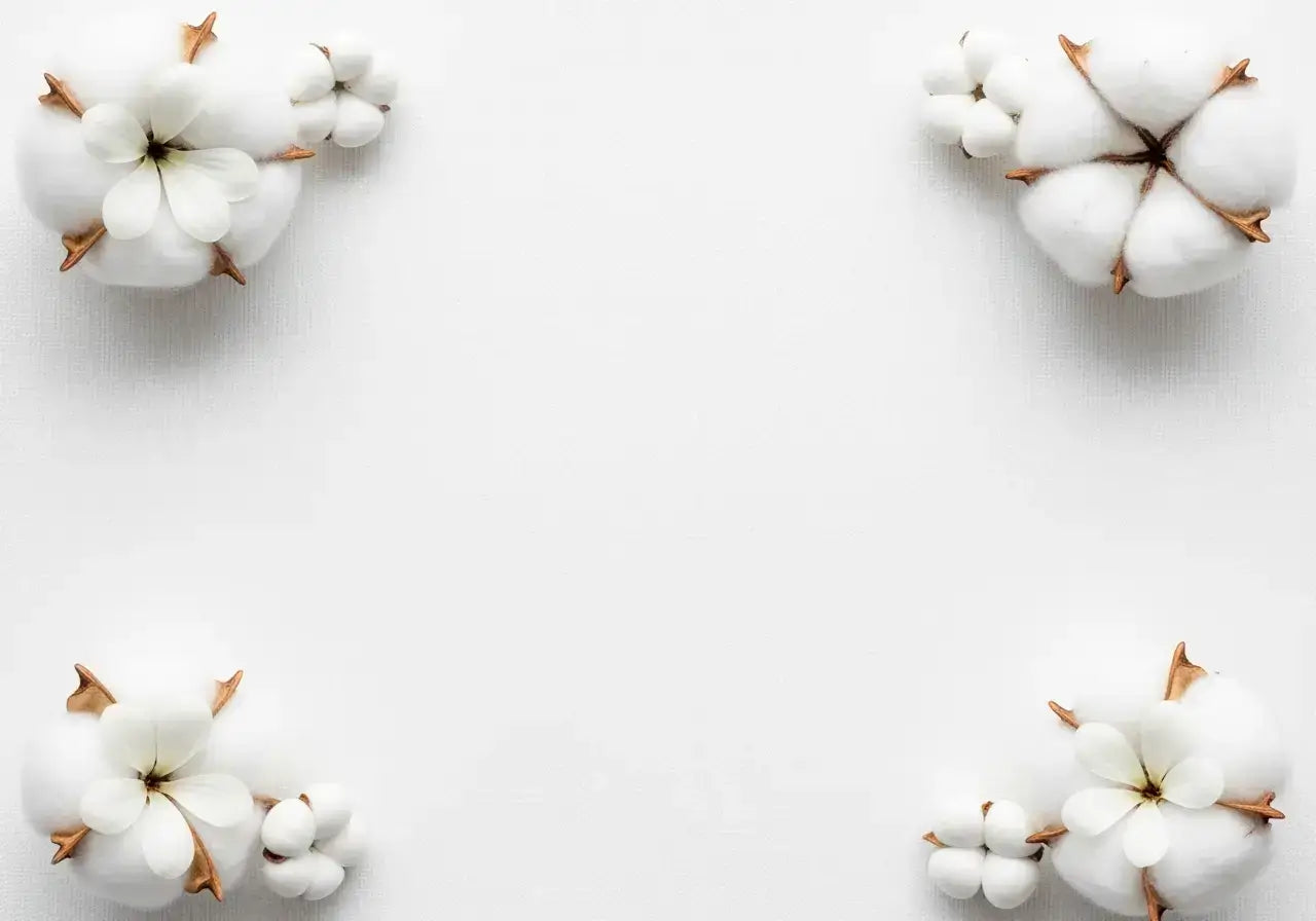 Cottonbaby